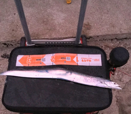 アジ　サバ　太刀魚　ジグパラマイクロ・ジグ…